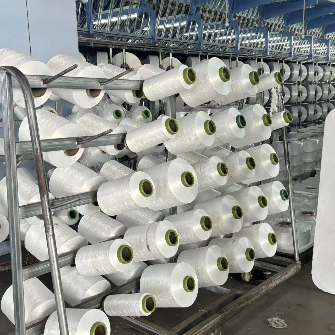 20250219134135 20250219134135